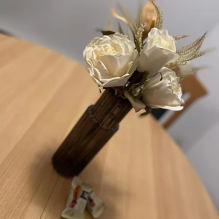 Апартаменты Knez *